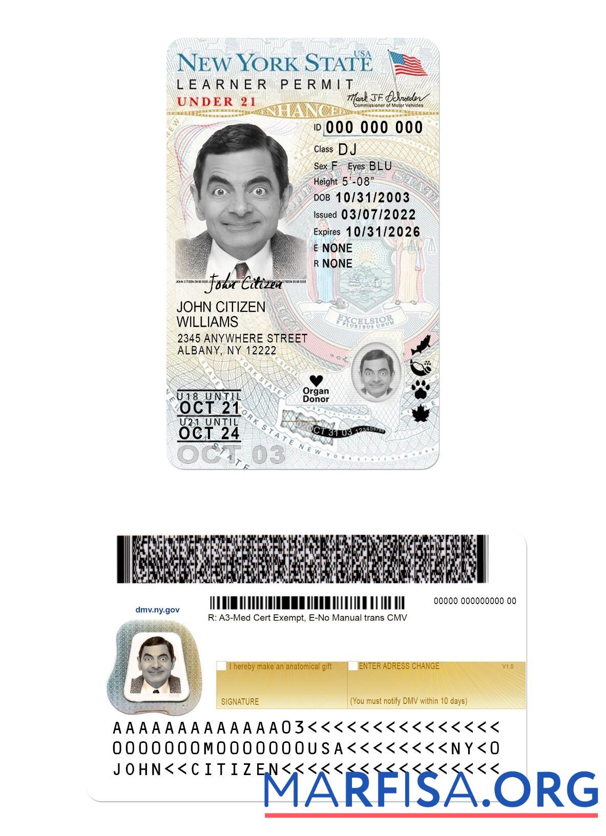 Blank USA New York driving license under 21 (version 2) real example